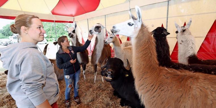 Foto: Volontärin Frederike Müller hinter den Kulissen im Zirkus Erfahrungen im Volontariat